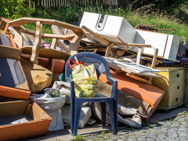 Best Junk Hauling Services  in Cass City, MI