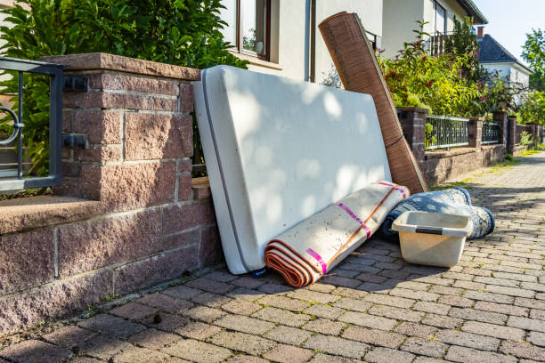 Best Professional Junk Removal  in Cass City, MI
